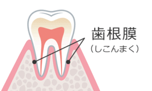 宇都宮の歯医者、こうだい歯科