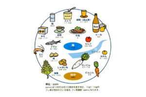 宇都宮市(雀宮、上三川町)の歯医者、こうだい歯科でフッ素のリスクについての解説